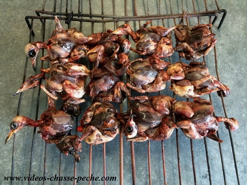 recette grive crapaudine recette grive crapaudine